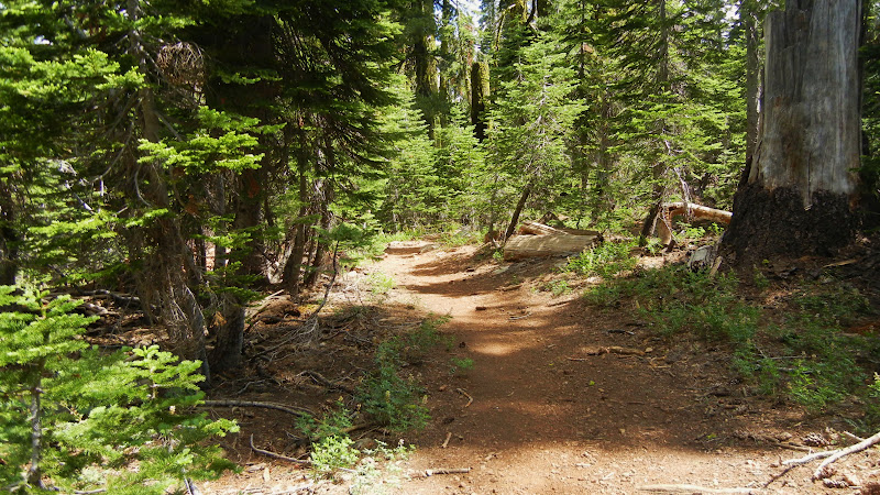 Peachy Hiker: July 2018 updates Grouse Ridge, Donner Area