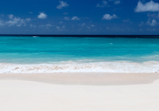 Hit the Beach