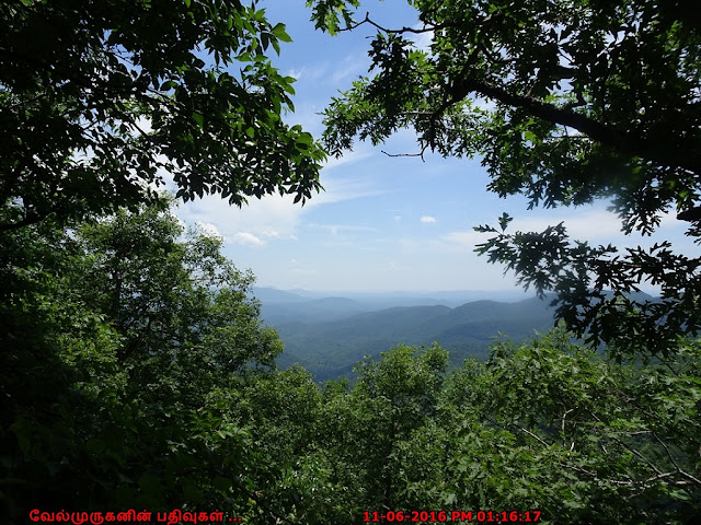 Beautiful Georgia Trails