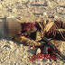 بالصور| مقتل 5 إرهابيين فى مواجهات مع الشرطة بصحراء أخميم