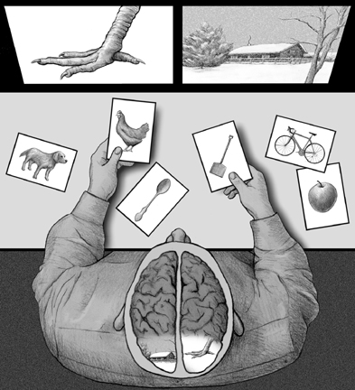 Philosophy Monkey: Early Split Brain Research