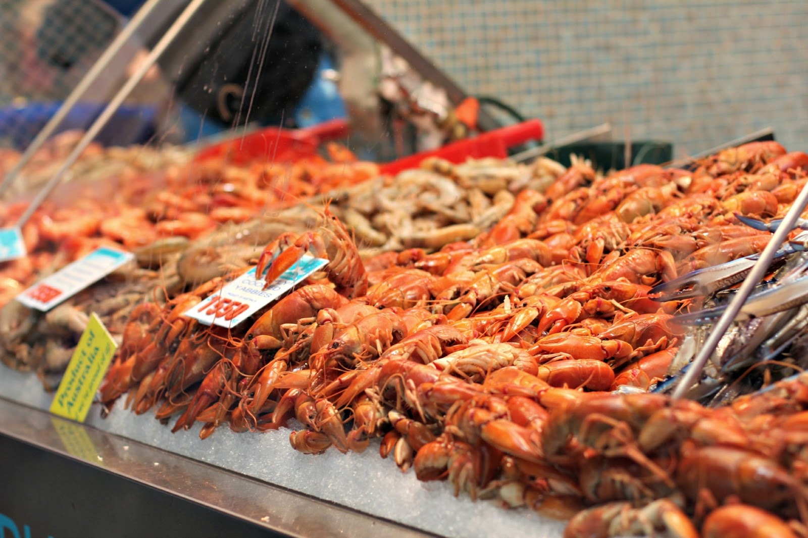Milk and Honey Caramelized Pancetta and Fennel Salad