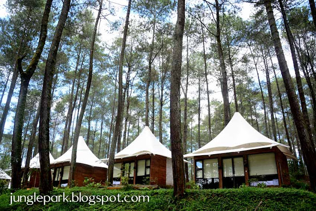 Akomodasi Hotel, Bungalow dan Tenda di Lembang