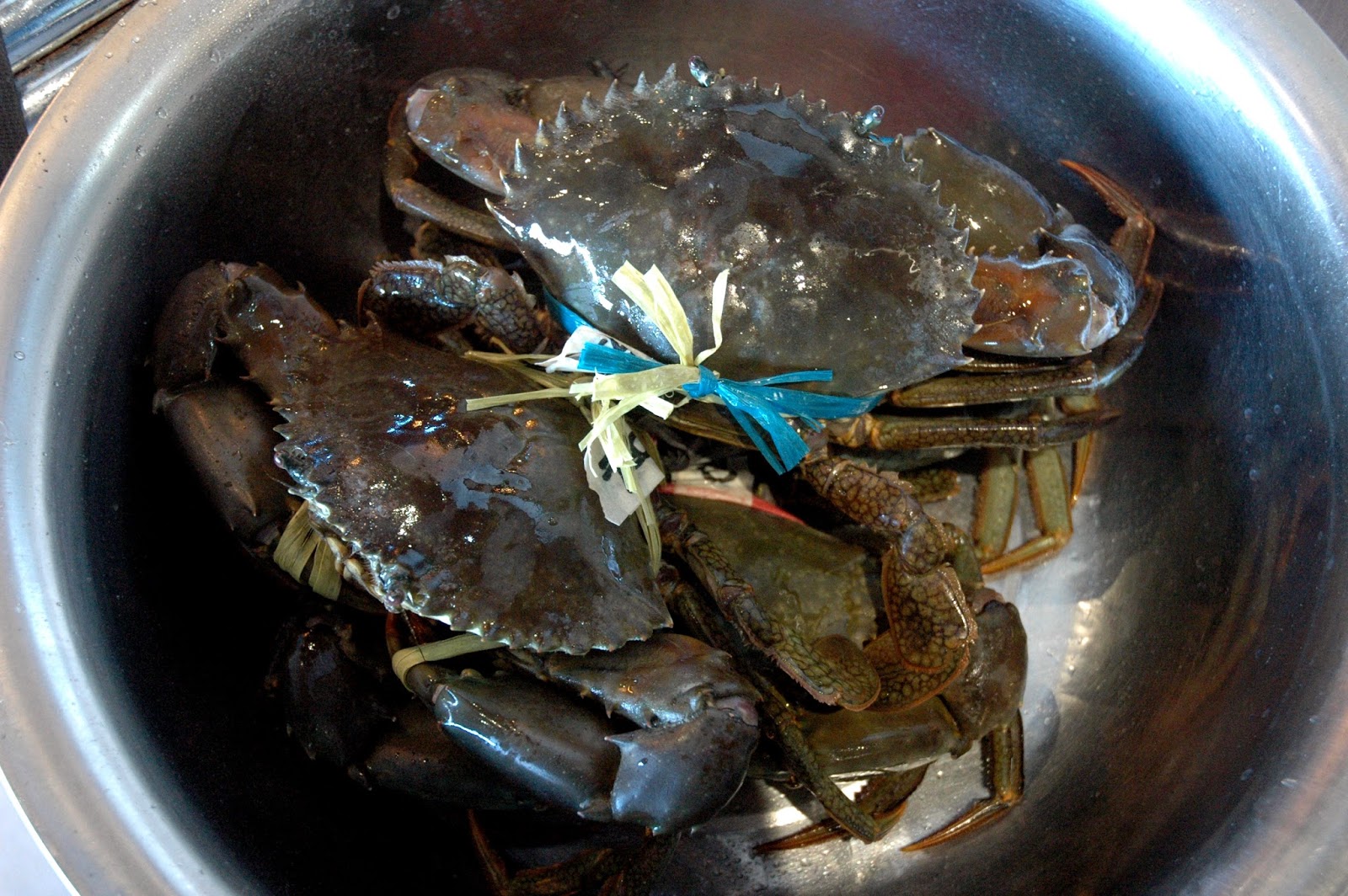 DUDE FOR FOOD The Fever's On Day One of 911ShrimpFever At Blue Posts