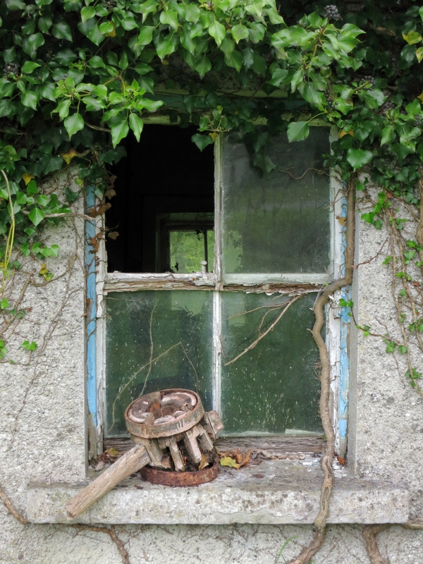 Abandoned cottage in Ireland