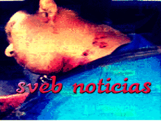 Hallan asesinado a taxista dentro de su unidad en Naranjos Veracruz