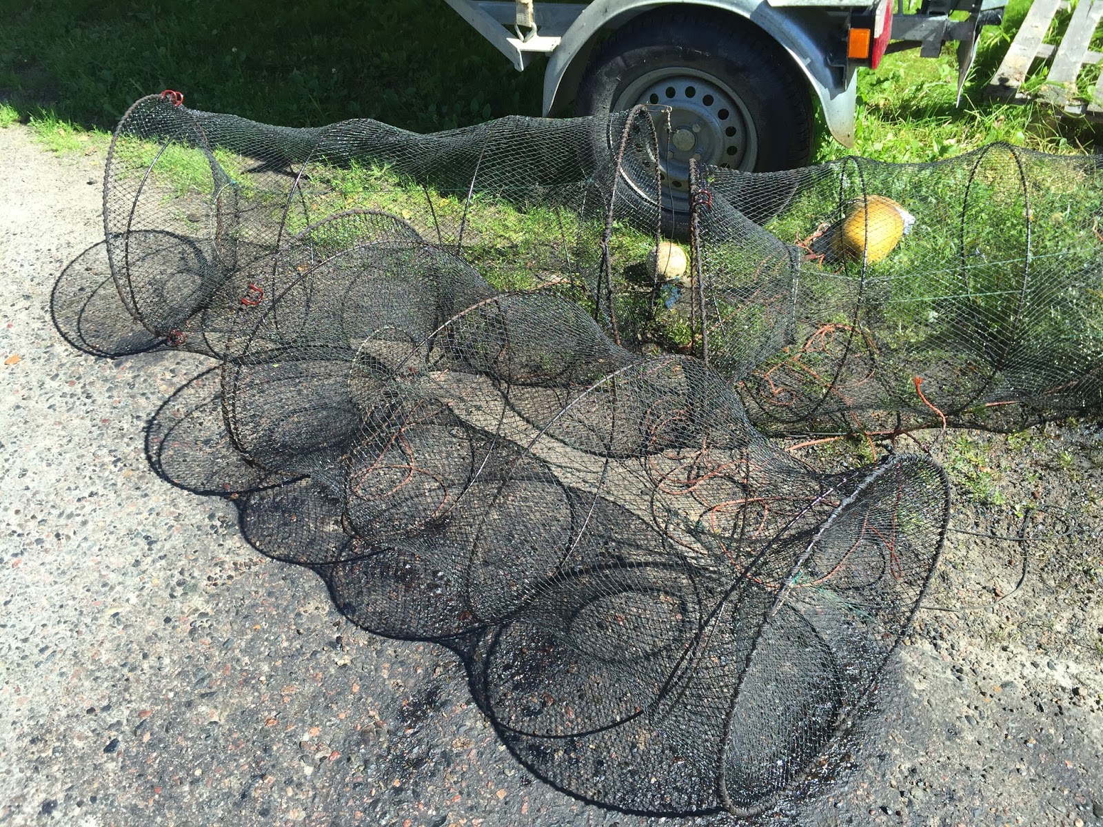 ilmainen mobiili porno iso musta Dicks