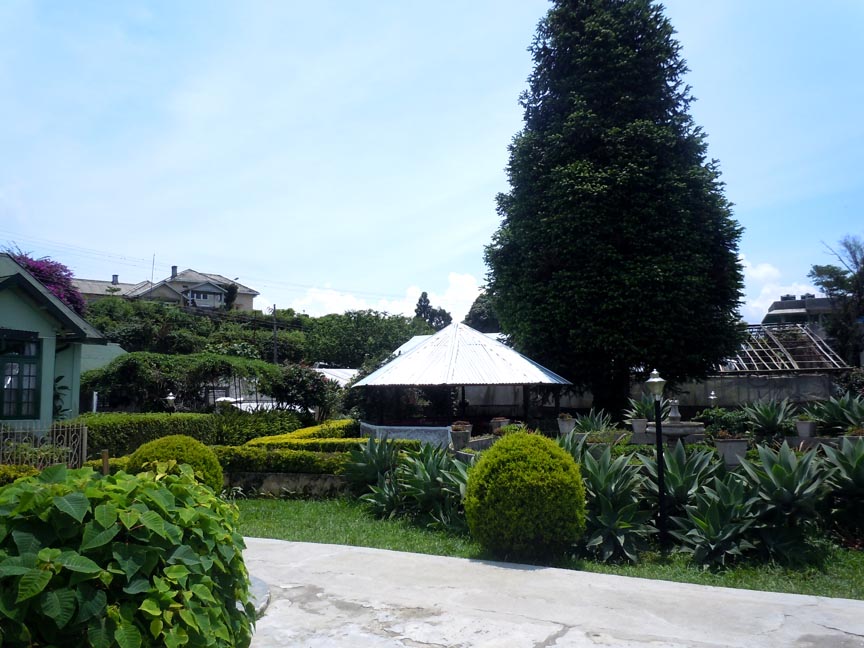 Just About Everything Cactus Plantation!