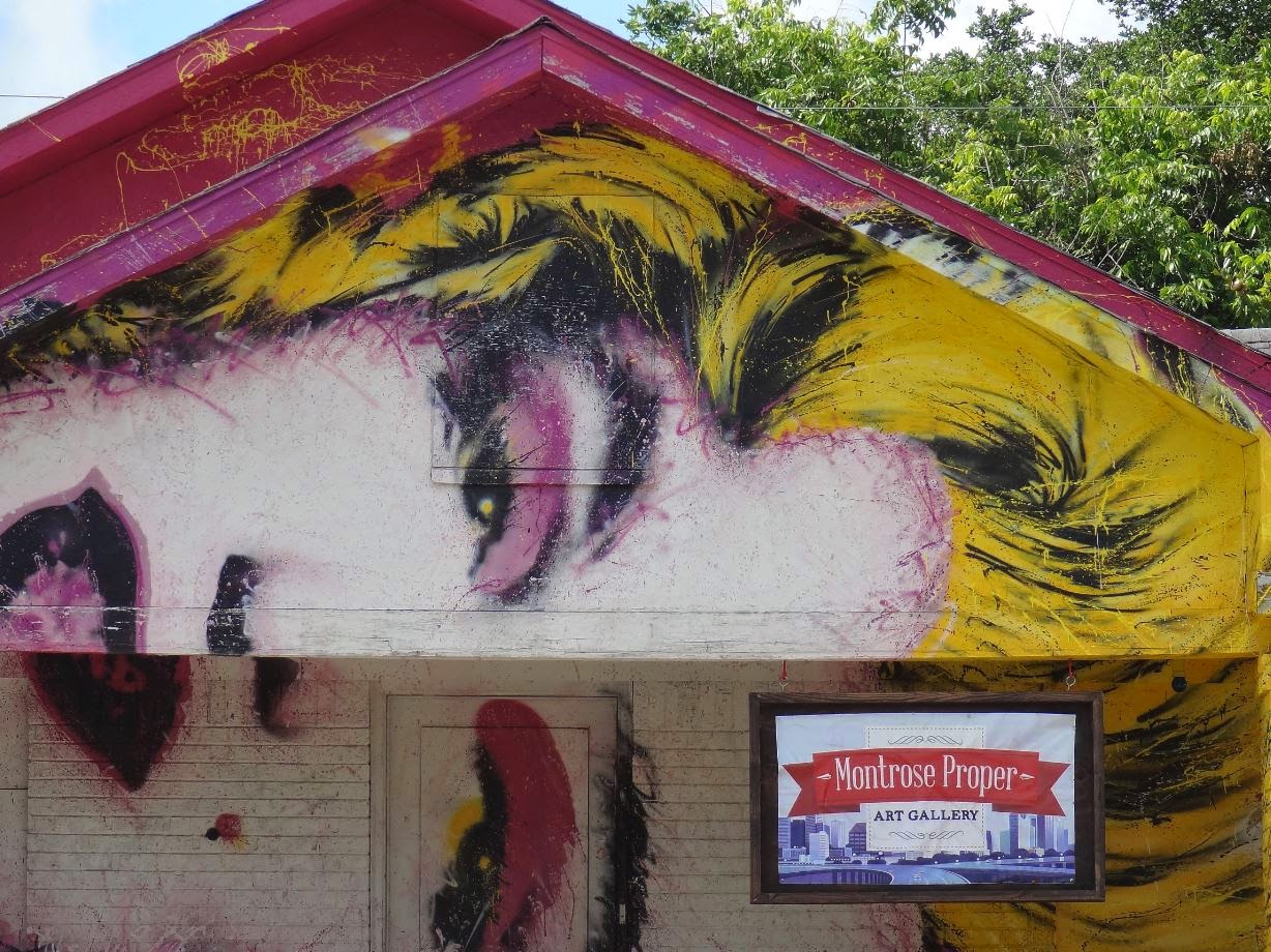 Houston in Pics Montrose Proper Art Gallery (2014)