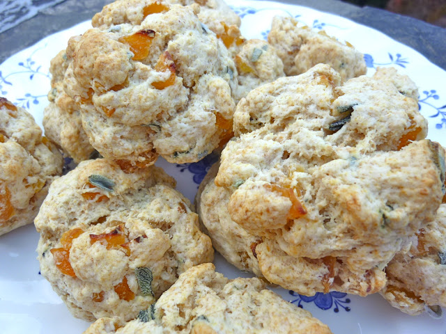 Almond Apricot Food Processor Cake Almond Apricot Food Processor Cake
