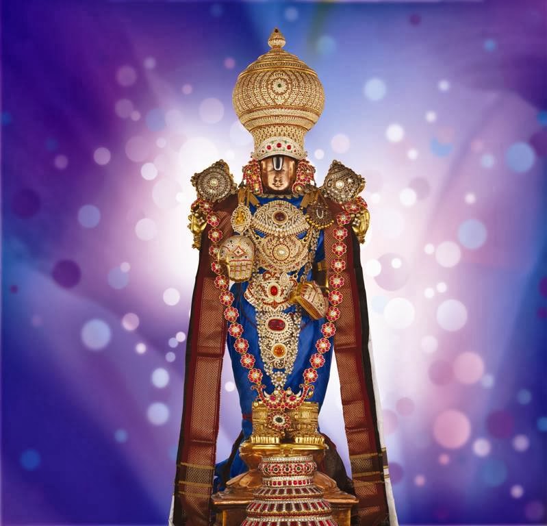 1512730_10203321066931359_782661963_n.jp