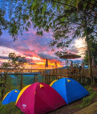 7 Potret 'Rumah Pohon Habitat' Pamah Semelir Ini Bikin ...