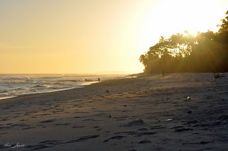 Krui adalah kota kecil yang terletak di sudut provinsi lampung Bali Travel Attractions Map and Things to do in Bali: 10 Beach Charming Krui Pesisir-Barat