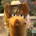 Obrazek