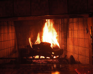 Fire in Fireplace, © B. Radisavljevic