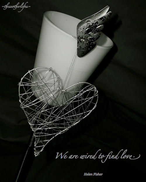 We are wired to find love. - Helen Fisher