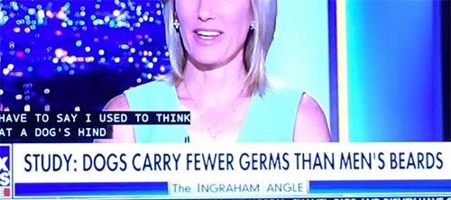 Do dogs actually carry fewer germs than men's beards or Is this real or fake news? (Source: The Ingraham Angle)