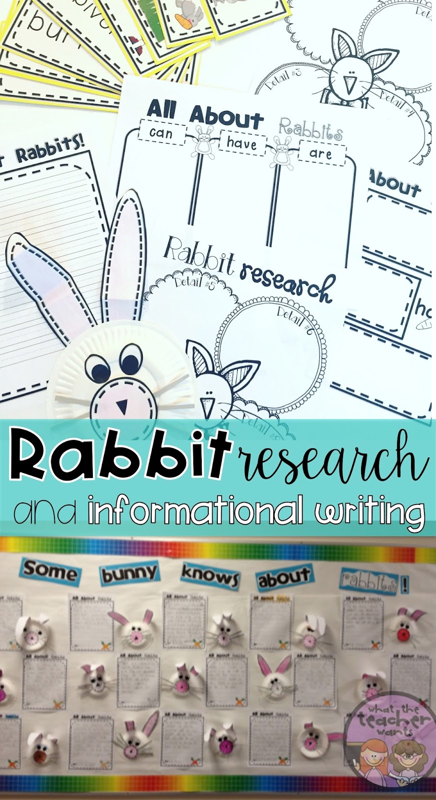 Rabbit as an animal model for experimental research image