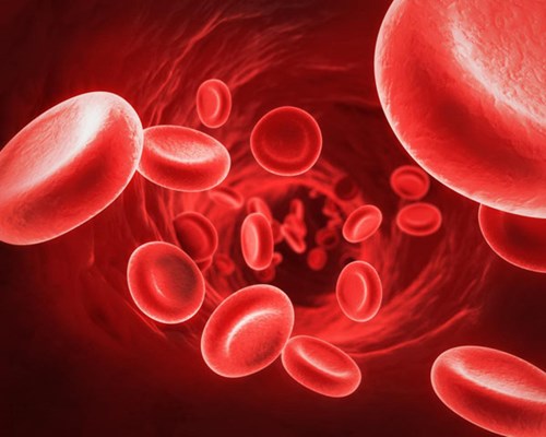 http://www.bhtips.com/2013/07/natural-ways-to-increase-red-blood.html