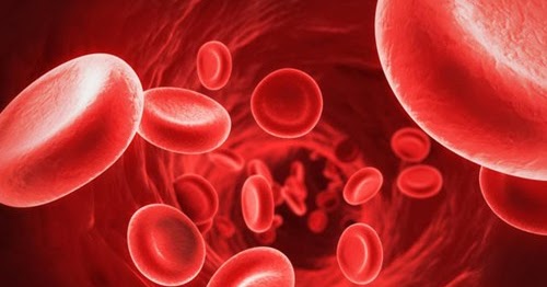 9 Natural Ways To Increase Red Blood Cells Count Best