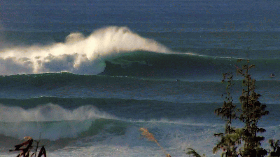 Alex Gray Surfing in Hawaii