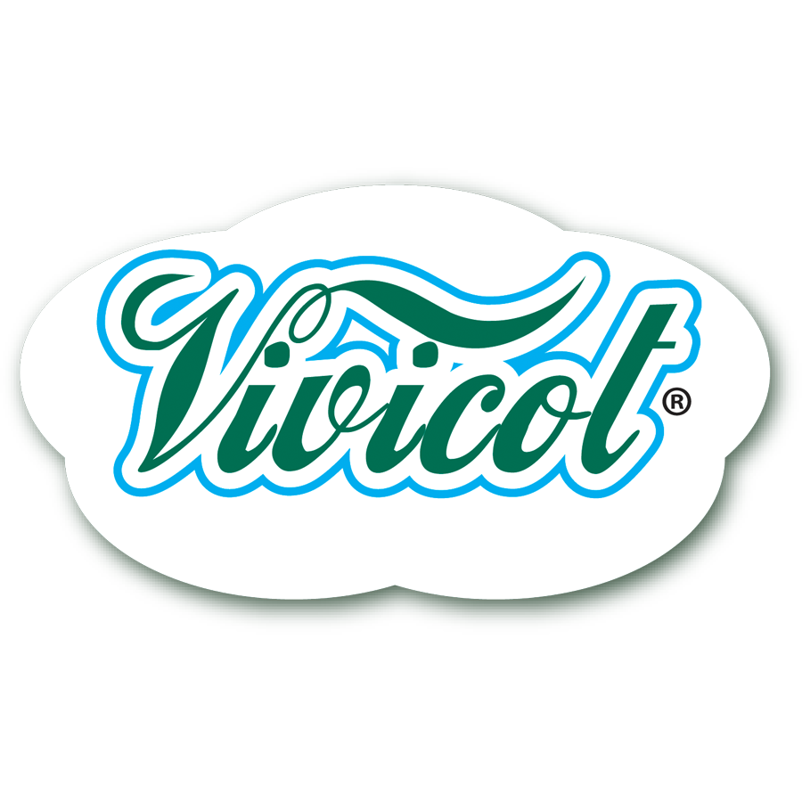 COLLABORAZIONE CON VIVICOT