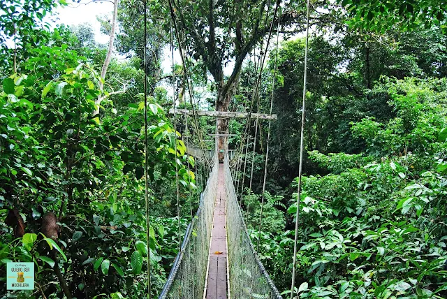 Canopy Skywalk en Parque Nacional del Gunung Mulu (Borneo, Malaysia)