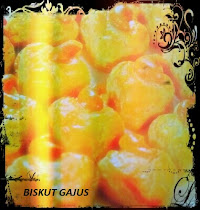 BISKUT GAJUS