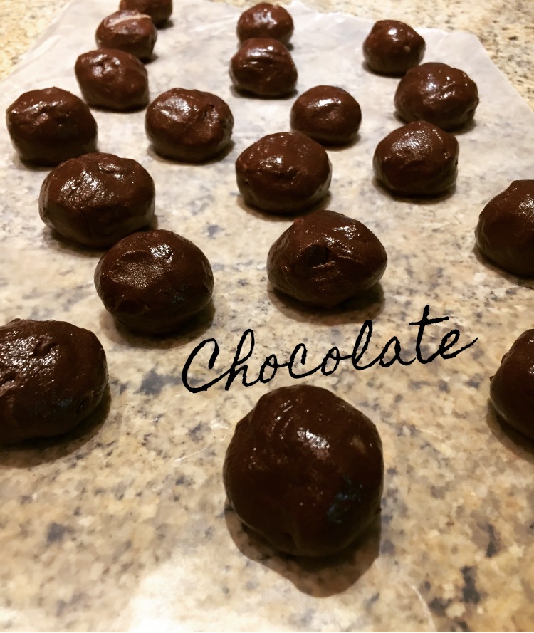 Shakeology Balls Kristin Kotzebue