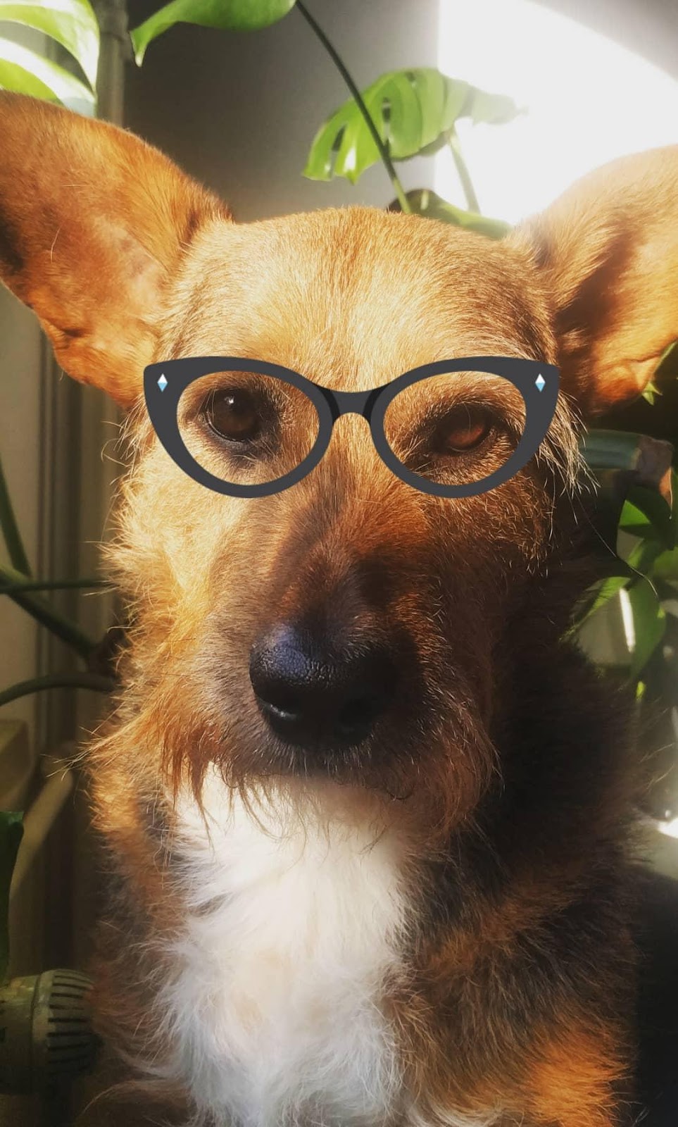 ScienceSeeker Science News Aggregator How can you get involved in