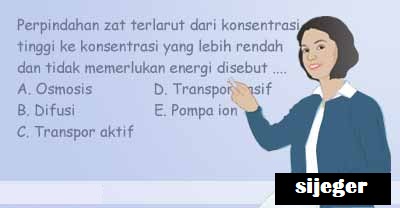 Soal Pilihan Ganda Dan Jawaban Tentang Sel Soal Pilihan Ganda Dan Jawaban Tentang Sel