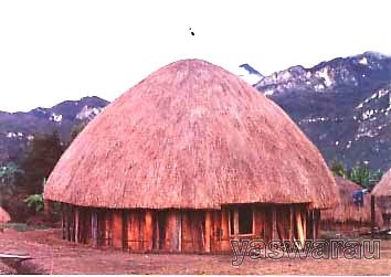 Desain Asli Rumah Adat Papua Desain Asli Rumah Adat Papua