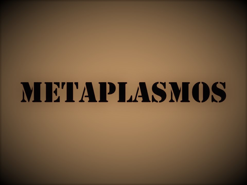 METAPLASMOS