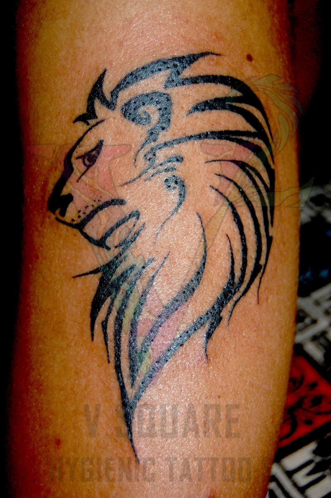http://2.bp.blogspot.com/-3KCHa68hmrk/T0NU-yXNF_I/AAAAAAAAADw/pNjJxx4XdK0/s1600/lion_tattoo.jpg