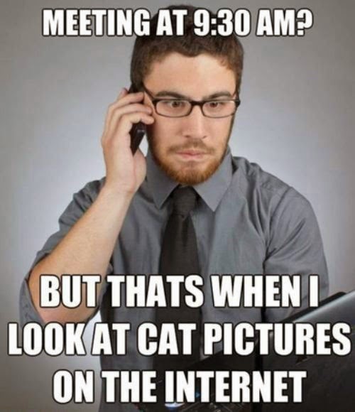 Meeting at 930 am, but thats when i look at cat pictures on the