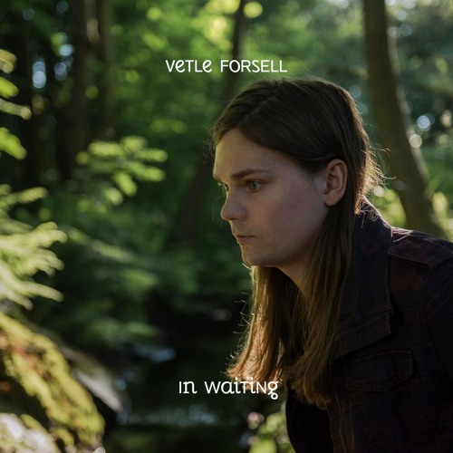Vetle Forsell Unveils New Single "In Waiting"