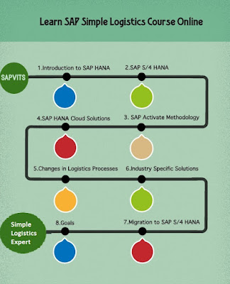 SAP Simple Logistics Course at SAPVITS
