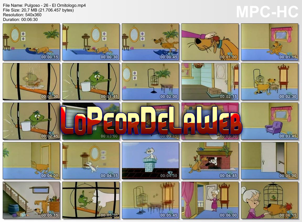 Lindo Pulgoso (1965 - Serie Completa - 26 epsodios - Latino)