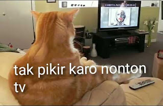 Gambar Lucu Gokil Terbaru Bahasa Jawa Gambar Lucu Gokil Terbaru Bahasa Jawa