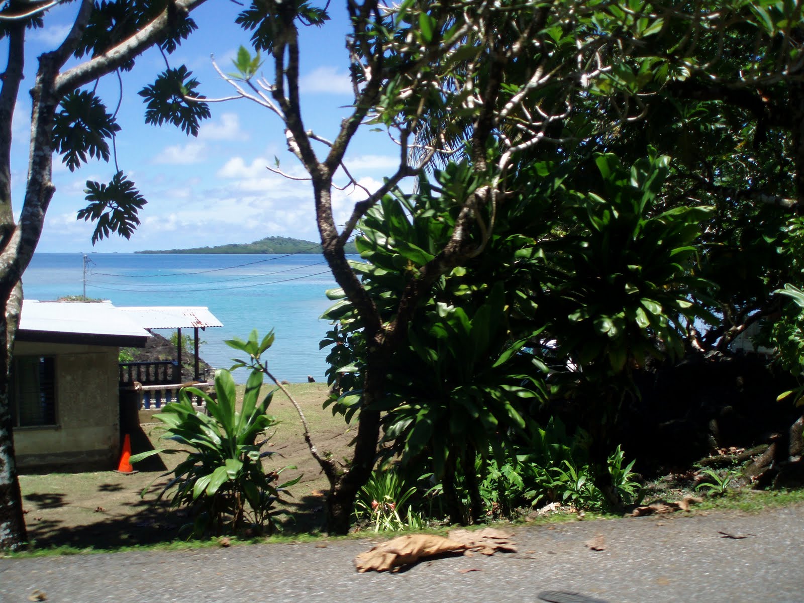 DAY IN COURT Views from MLSC islands