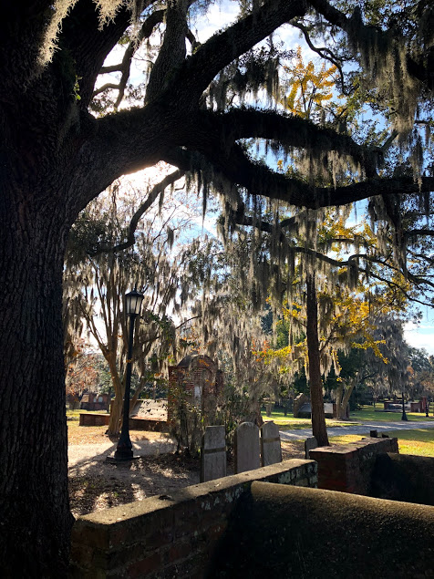 Colonial Park Cemetery Savannah