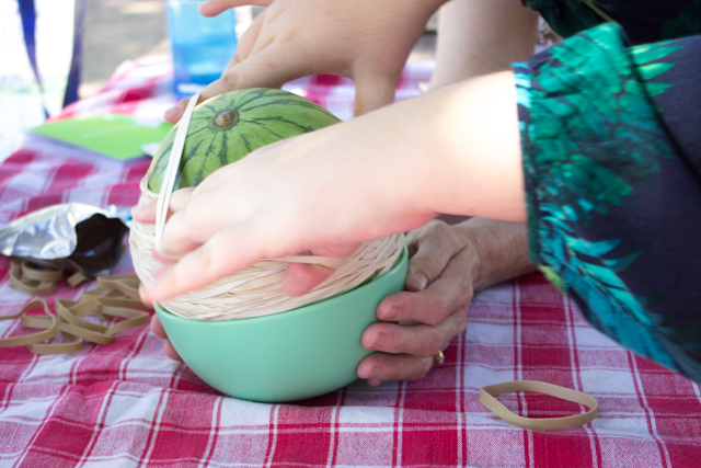 How many rubber bands does it take to explode a watermelon?  This fun Kids STEM Science activity aims to find out!  