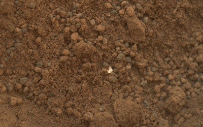 الجسم اللامع الذى عثر عليه فى تربة المريخ