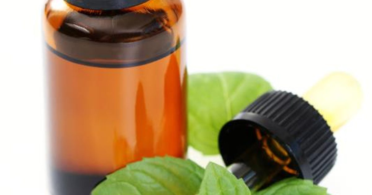 Many Options of the Essential Oils for Hair Loss Hair Loss Treatment