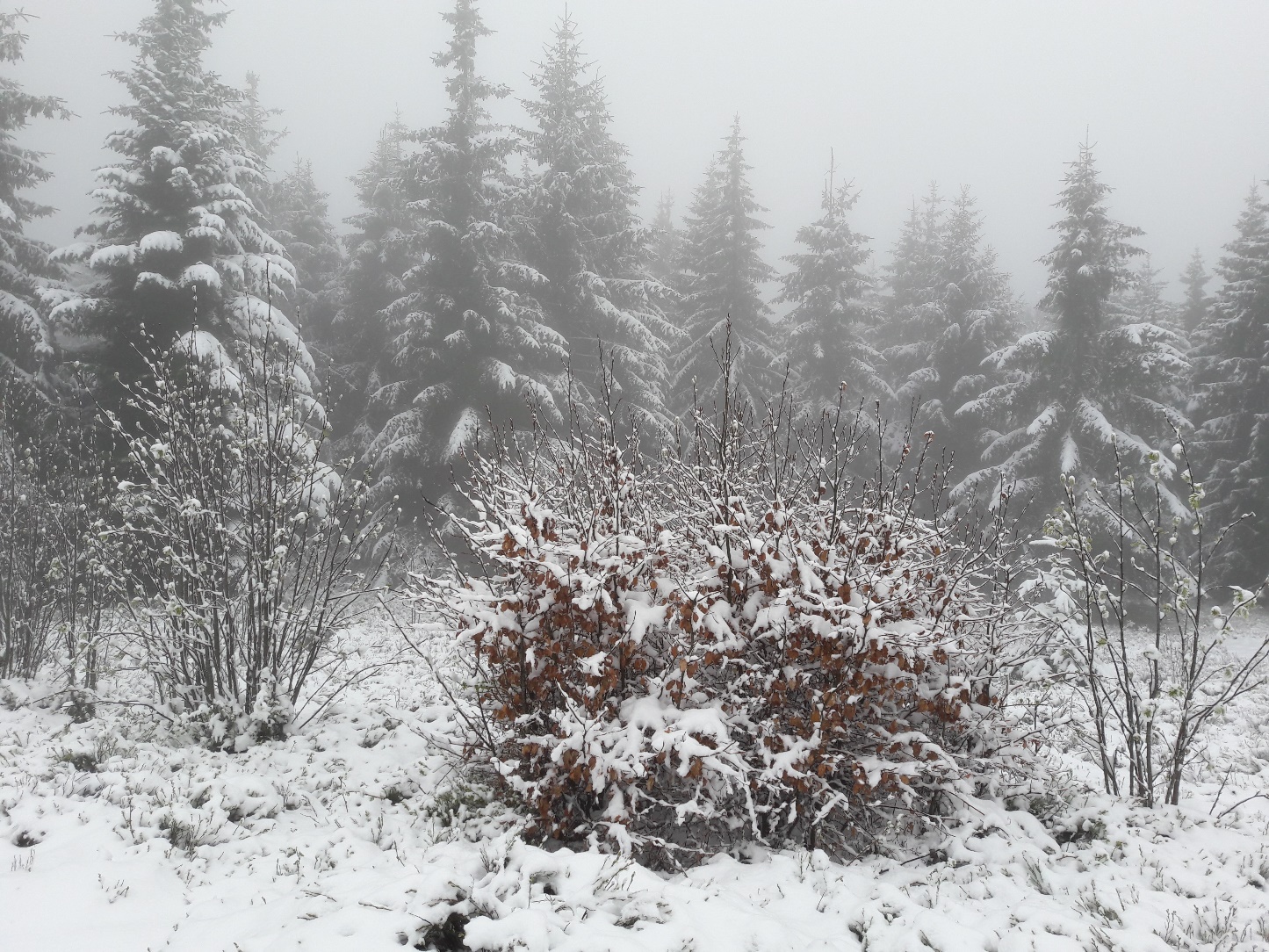 Am Freitag Lokale Schauer Und Gewitter Uber Hessen