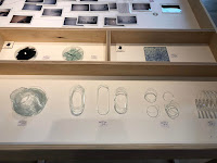 自然からインスピレーションを得て