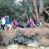 Actividad Mindfulness. (Fotos caminata)
