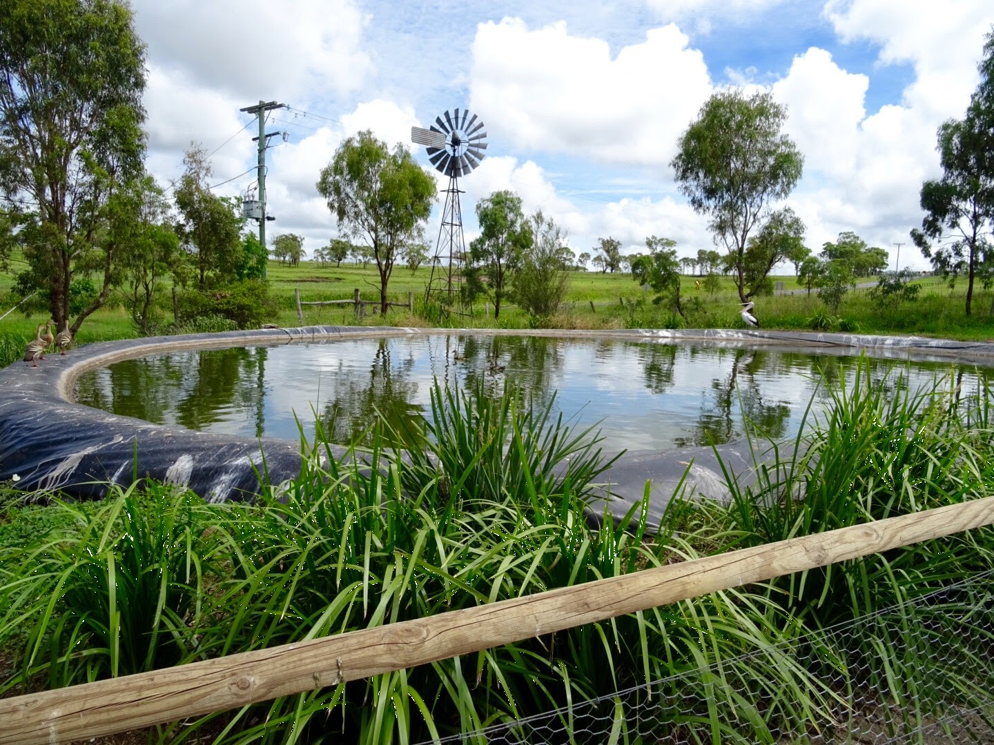 Stu the Zoo Darling Downs Zoo Review