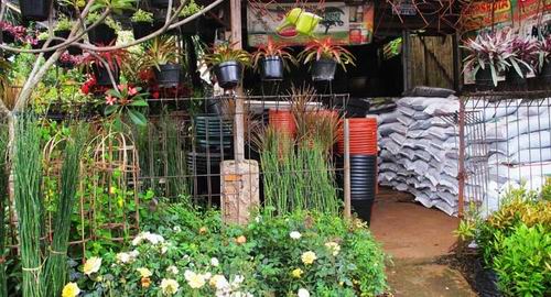 Izin Usaha Dan Info Bisnis Ini Yang Harus Dipersiapkan Untuk Membuka Toko Tanaman Hias
