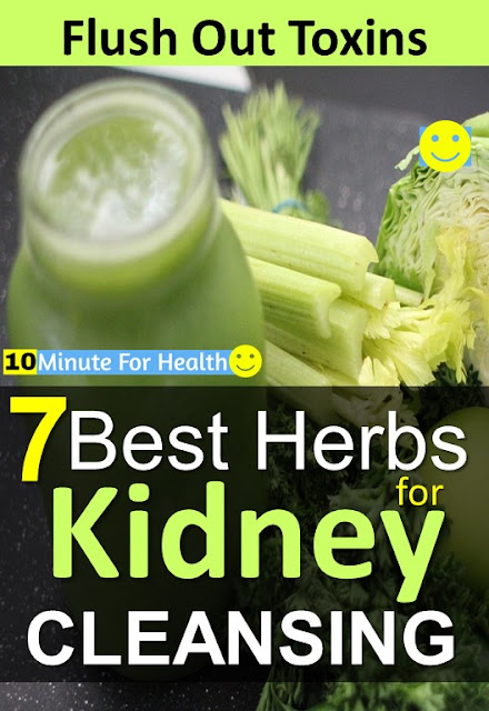 7 Best Herbs for Kidney Cleansing - 10 Minute For Health